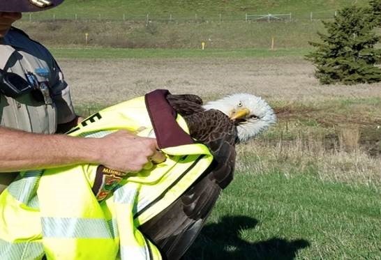 Spiewak Jacket in Bald Eagle Rescue